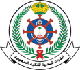 Royal Saudi Naval Forces